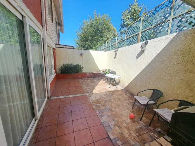 Vargas Buston - Metro (86466)