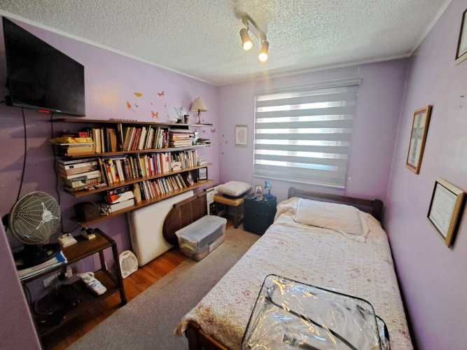 Vargas Buston - Metro (86466)