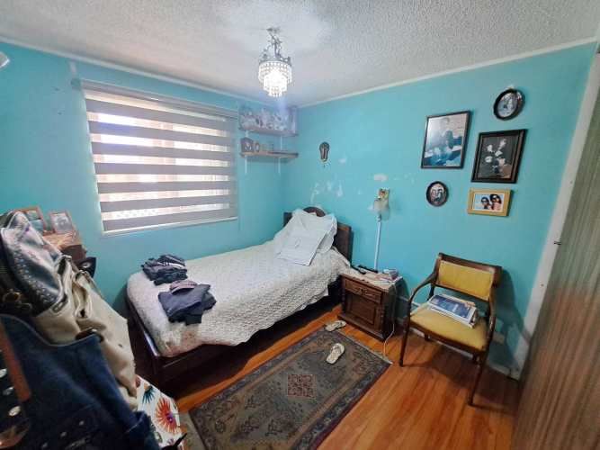 Vargas Buston - Metro (86466)