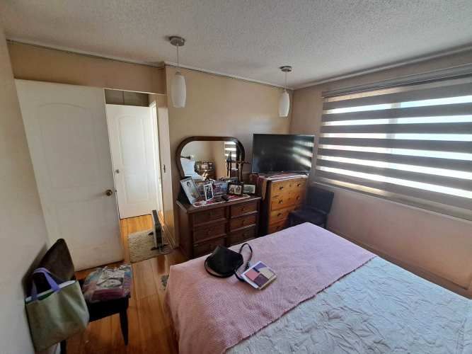 Vargas Buston - Metro (86466)