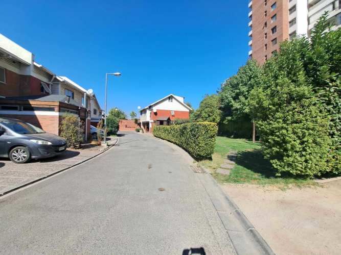 Vargas Buston - Metro (86466)