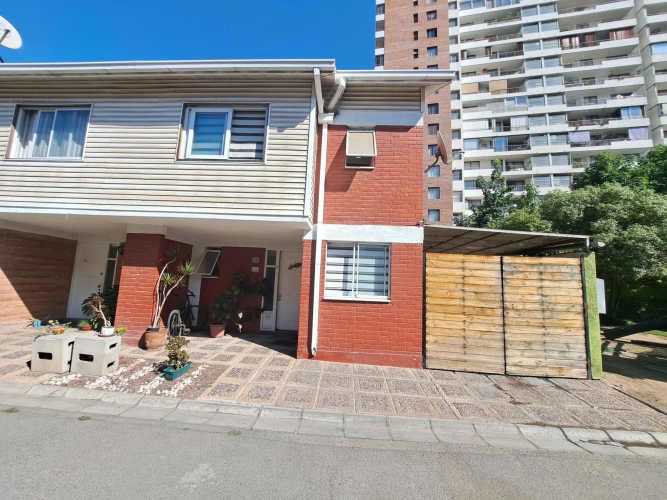 Vargas Buston - Metro (86466)