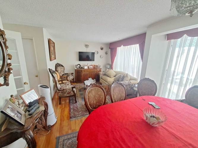 Vargas Buston - Metro (86466)