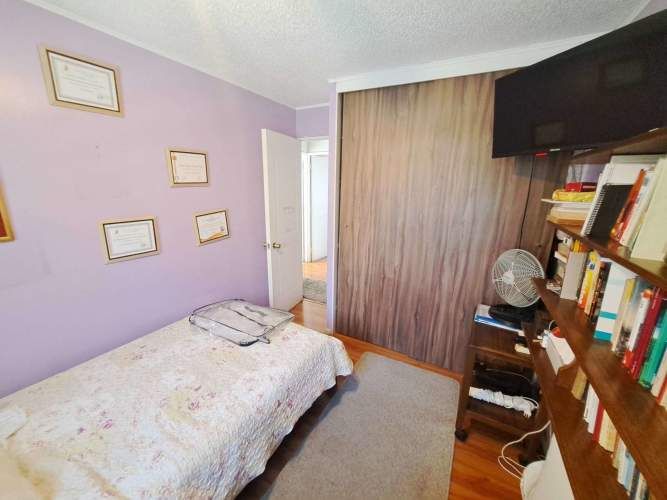 Vargas Buston - Metro (86466)