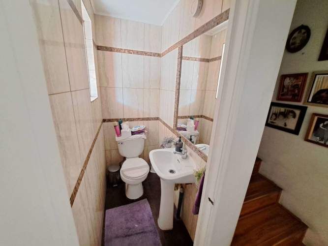 Vargas Buston - Metro (86466)