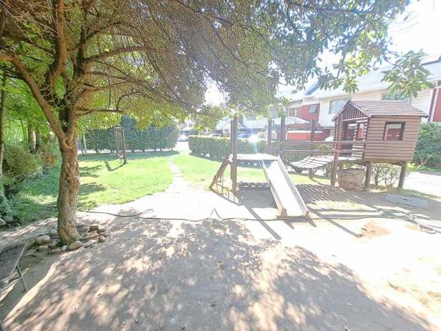 Vargas Buston - Metro (86466)