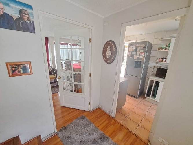 Vargas Buston - Metro (86466)