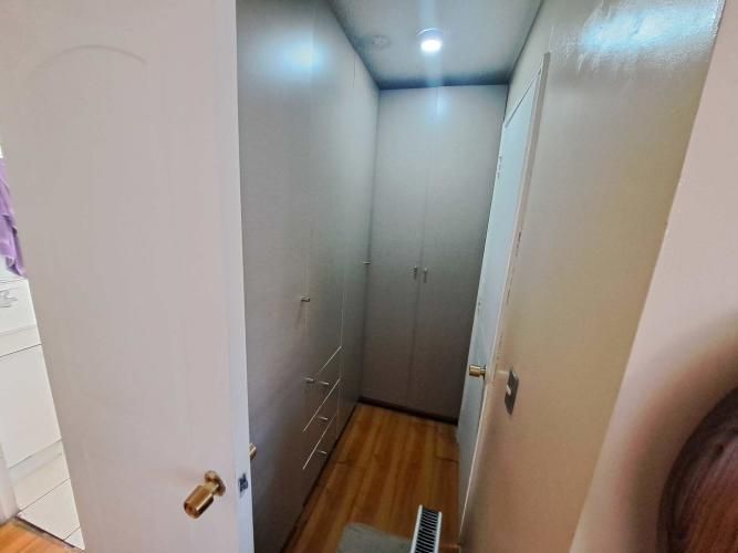 Vargas Buston - Metro (86466)