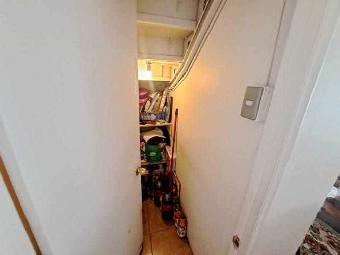 Vargas Buston - Metro (86466)