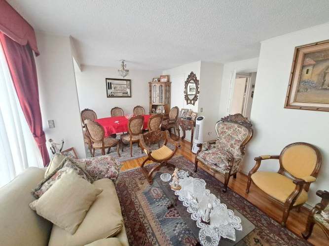 Vargas Buston - Metro (86466)