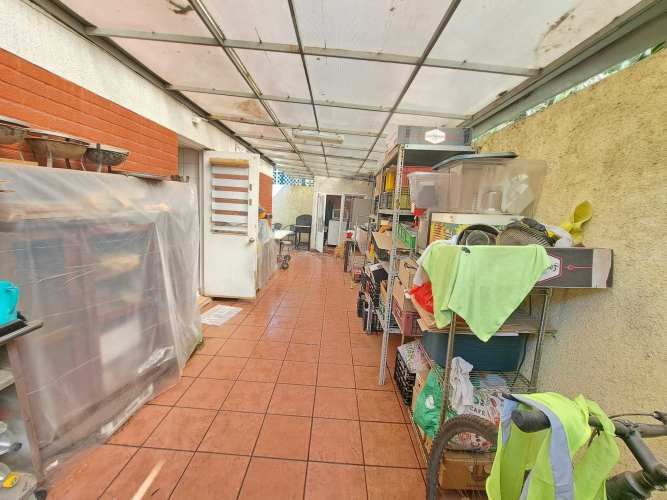 Vargas Buston - Metro (86466)