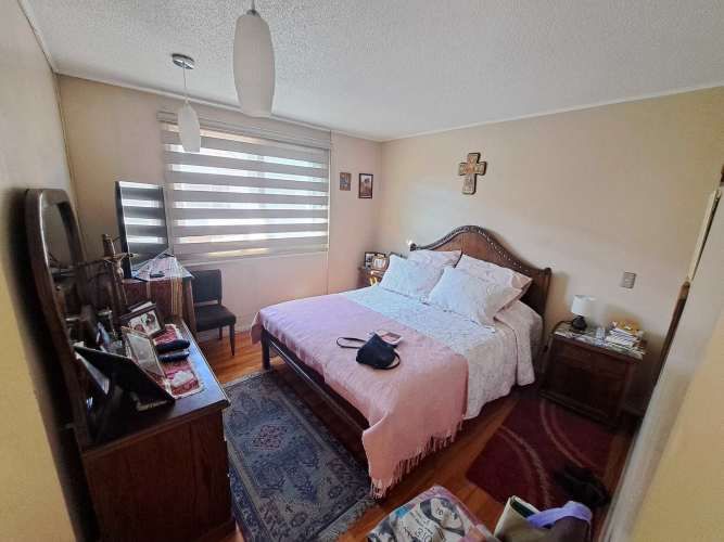 Vargas Buston - Metro (86466)