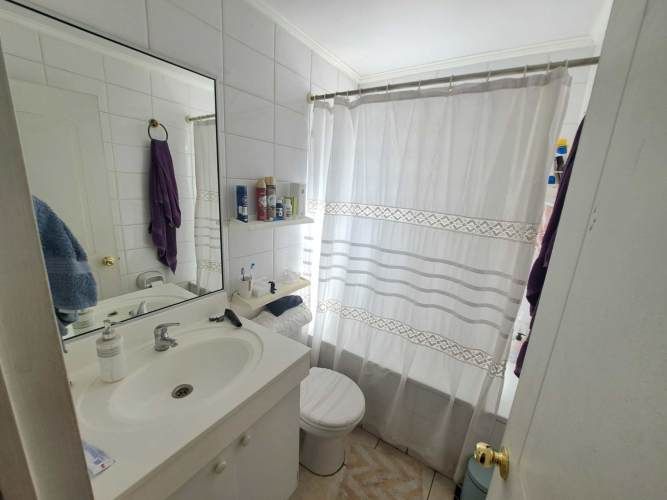 Vargas Buston - Metro (86466)