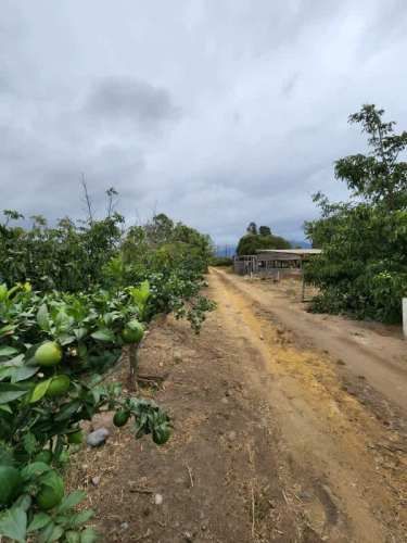 Parcela HERMOSA PARCELA EN VENTA, CON CASA Y PISCINA!