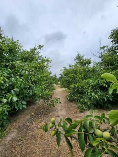 Parcela HERMOSA PARCELA EN VENTA, CON CASA Y PISCINA!