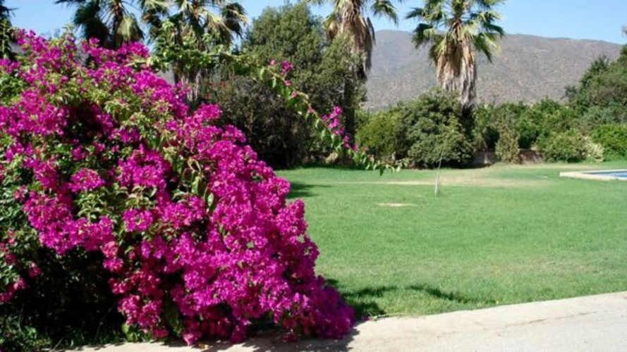 BODEGA Ruta 68 KLM 36