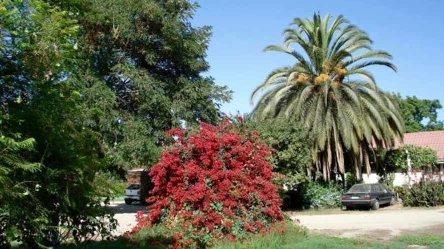 BODEGA Ruta 68 KLM 36