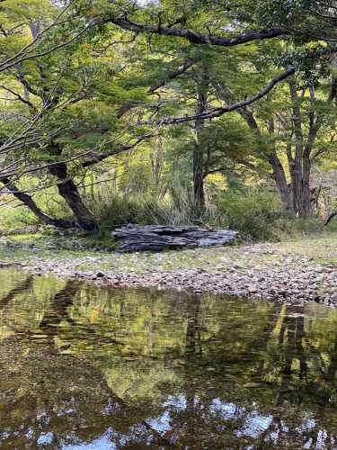 Curarrehue parcelas 1 hectárea con acceso a rio.