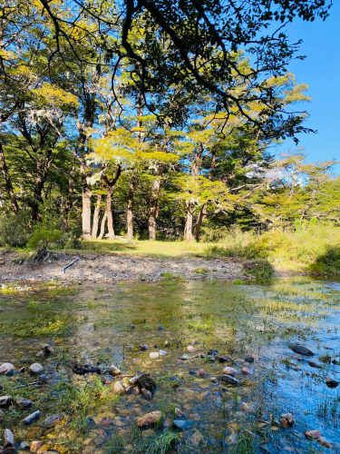 Curarrehue parcelas 1 hectárea con acceso a rio.
