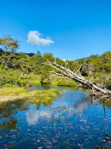 Curarrehue parcelas 1 hectárea con acceso a rio.