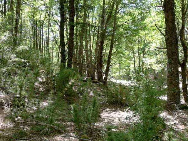 Curarrehue parcelas 1 hectárea con acceso a rio.