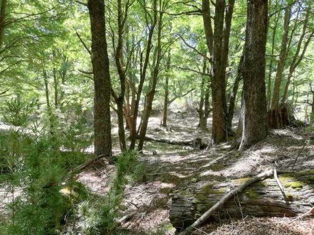 Curarrehue parcelas 1 hectárea con acceso a rio.