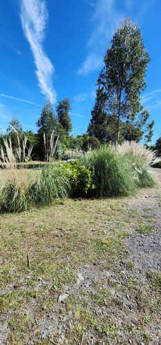 CABAÑA AMOBLADA ENSENADA (75403)