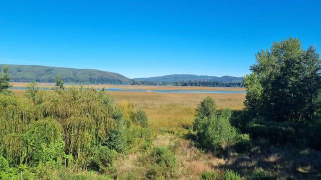 Terreno Urbano con Vista al Río Valdivia