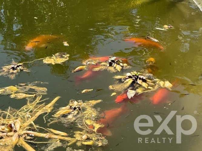 PARCELA Parcela 22, Altovalsol