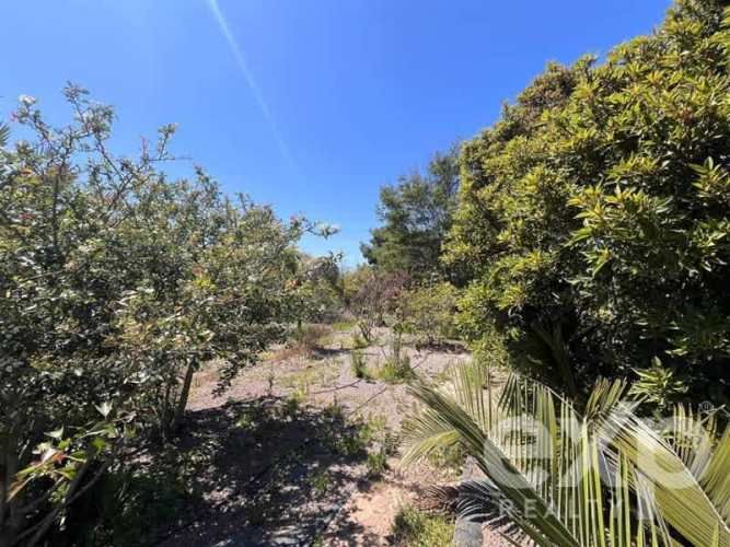 PARCELA Parcela 22, Altovalsol