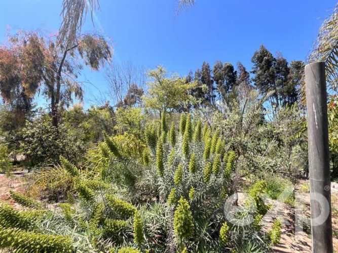 PARCELA Parcela 22, Altovalsol