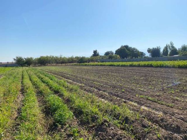 TERRENO CONSTRUCCION Parcela San Joaquín de Los Mayos, Machalí