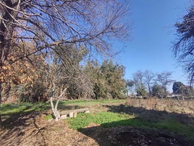 TERRENO CONSTRUCCION Gultro, Olivar