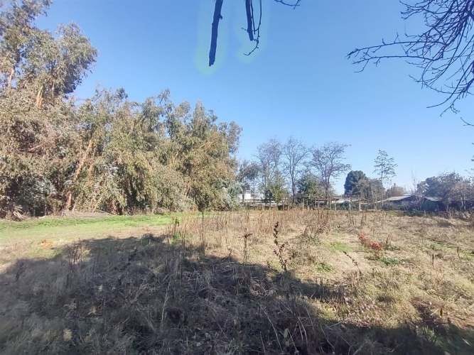 TERRENO CONSTRUCCION Gultro, Olivar