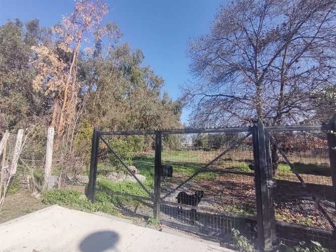 TERRENO CONSTRUCCION Gultro, Olivar