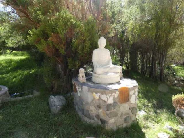 ¡Increíble oportunidad de inversión!