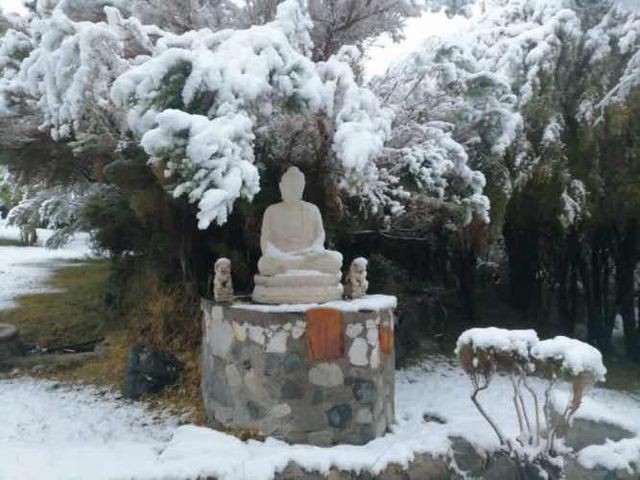 ¡Increíble oportunidad de inversión!