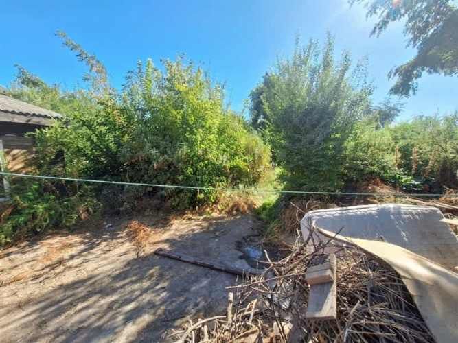 SITIO Luis Valdés con Maestro Palomo