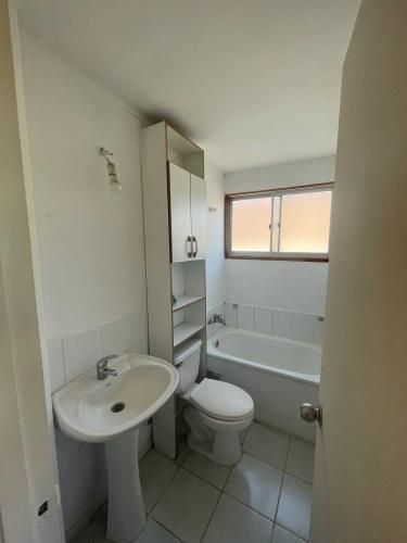 Excelente conectividad (86567)