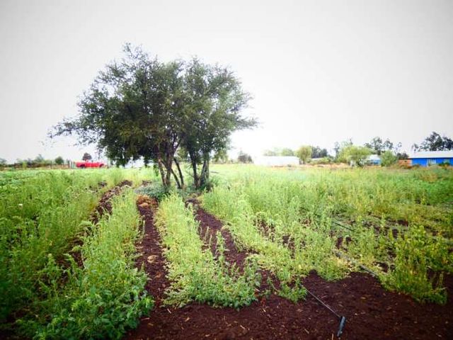 GRAN OPORTUNIDAD DE INVERSION (87688)