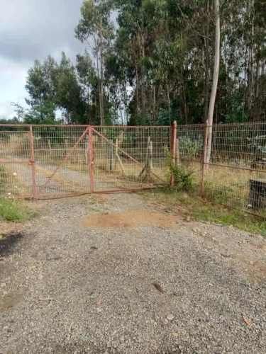 Agrícola CAMINO A PITRUFQUEN // TOLTEN