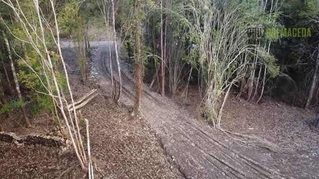 PARCELA Parcela en Polincay - Parcelación Alerce Escondido