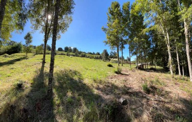 Hermosa Parcela en Rebellín Alto a 10 minutos de Valdivia