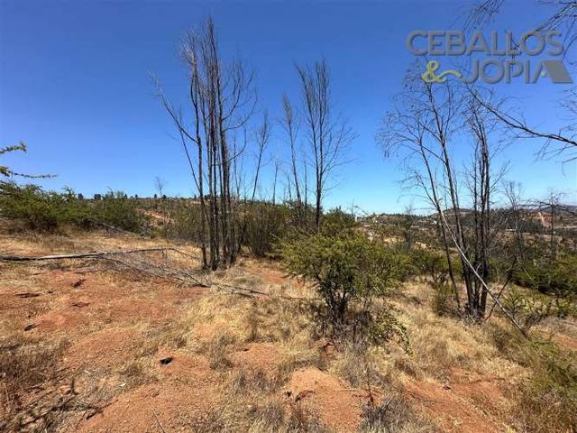 PARCELA Valle del Mar, Limache