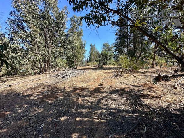 SITIO Condominio Valle Verde Mar, Limache