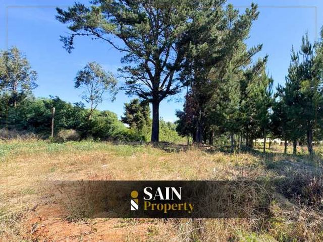 Gran Terreno en Tomé Oportunidad de inversión (88277)