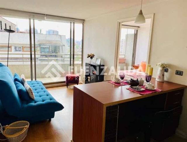 DEPARTAMENTO José Manuel Infante / Av. Providencia