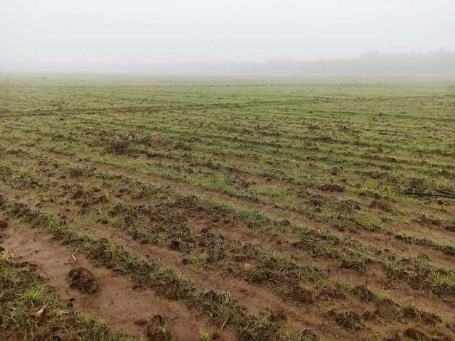 PROPIEDAD AGRICOLA EN VENTA EN SAN CLEMENTE, 10,6 HA