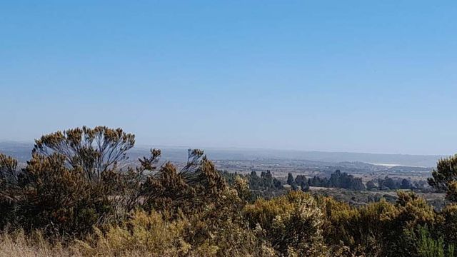 PARCELAS EN EL CONVENTO, SANTO DOMINGO V REGION