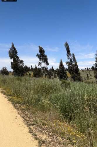 PARCELA Paredones, Bucalemu, Provincia de Bernardo O´Higgins